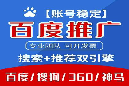 某行业SEM投放效果显著案例分享